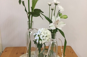 Schiffbänker – Blumen & Floristik