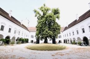 Schloss Tillysburg