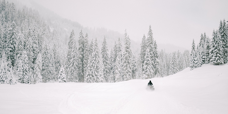 Winterliche Traumhochzeit by Leonie Leder
